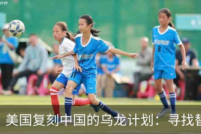 美国复刻中国的乌龙计划：寻找替代品的冒险之旅